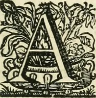 Picture 21 of 73 from Primeira[-segunda] parte da Historia ecclesiastica dos arcebispos de Braga, e dos santos, e varoes illustres, que florecerão neste arcebispado (1634), leaf 124