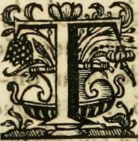 An illustration from Primeira[-segunda] parte da Historia ecclesiastica dos arcebispos de Braga, e dos santos, e varoes illustres, que florecerão neste arcebispado (1634)