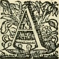 Picture 67 of 73 from Primeira[-segunda] parte da Historia ecclesiastica dos arcebispos de Braga, e dos santos, e varoes illustres, que florecerão neste arcebispado (1634), leaf 448
