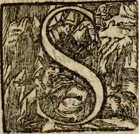 An illustration from Primera parte de las demostraciones católicas y principios en q<ue> se funda la verdad de nuestra christiana religión (1593)