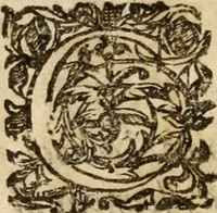 An illustration from Primera parte de las demostraciones católicas y principios en q<ue> se funda la verdad de nuestra christiana religión (1593)