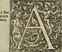 An illustration from Primera parte de las Cronicas de la orden de los frayles menores del seraphico padre Sant Francisco, instituydor y primero ministro general, que se puede llamar vitas patrum de los menores .. (1563)