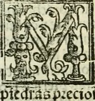 An illustration from Primera parte de las Cronicas de la orden de los frayles menores del seraphico padre Sant Francisco, instituydor y primero ministro general, que se puede llamar vitas patrum de los menores .. (1563)