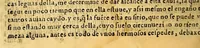 An illustration from Primera parte de la miscelanea austral (1602)