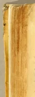 Picture 4 of 5 from Primera parte de la miscelanea austral (1602), leaf 352