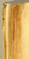 An illustration from Primera parte de la miscelanea austral (1602)