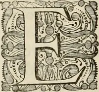 Picture 22 of 27 from Primera[-segunda] decada de las guerras de Flandes ... (1681), leaf 451