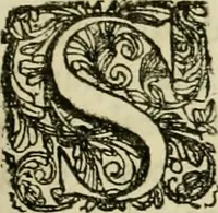 Picture 28 of 44 from Primera[-segunda] decada de las guerras de Flandes ... (1681), leaf 322