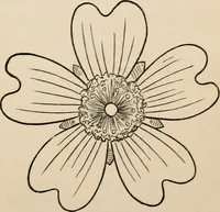 An illustration from Primer of design (1878)