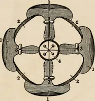 An illustration from Primer of design (1878)