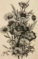 An illustration from Primer of design (1878)