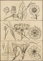 An illustration from Primer of design (1878)