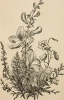 An illustration from Primer of design (1878)
