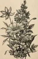An illustration from Primer of design (1878)