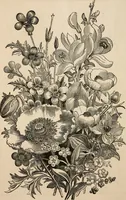 An illustration from Primer of design (1878)