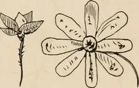 An illustration from Primer of design (1878)