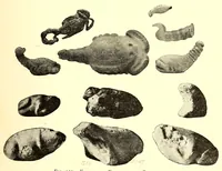 An illustration from Primitive art in Egypt (1905)