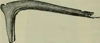 An illustration from Primitive man; (1900)