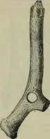 An illustration from Primitive man; (1900)