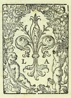 An illustration from Primo volume, & quarta editione delle navigationi et viaggi (1588)