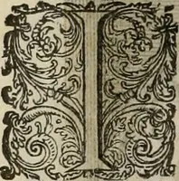 An illustration from Princelyck cabinet : verthoonende t'leven afcomste ende afbeeldingen der voornaemste vorste[n], princen, graven en heeren van Europa jegenwoordig regierende : mitsgaders beschrijvinge vanden staet, landen, rijckdommen ende incomsten der selver ... (1625)