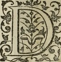 An illustration from Princelyck cabinet : verthoonende t'leven afcomste ende afbeeldingen der voornaemste vorste[n], princen, graven en heeren van Europa jegenwoordig regierende : mitsgaders beschrijvinge vanden staet, landen, rijckdommen ende incomsten der selver ... (1625)