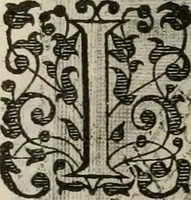 An illustration from Princelyck cabinet : verthoonende t'leven afcomste ende afbeeldingen der voornaemste vorste[n], princen, graven en heeren van Europa jegenwoordig regierende : mitsgaders beschrijvinge vanden staet, landen, rijckdommen ende incomsten der selver ... (1625)