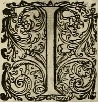 An illustration from Princelyck cabinet : verthoonende t'leven afcomste ende afbeeldingen der voornaemste vorste[n], princen, graven en heeren van Europa jegenwoordig regierende : mitsgaders beschrijvinge vanden staet, landen, rijckdommen ende incomsten der selver ... (1625)