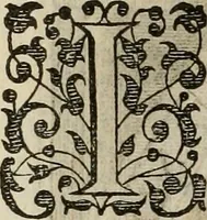 An illustration from Princelyck cabinet : verthoonende t'leven afcomste ende afbeeldingen der voornaemste vorste[n], princen, graven en heeren van Europa jegenwoordig regierende : mitsgaders beschrijvinge vanden staet, landen, rijckdommen ende incomsten der selver ... (1625)