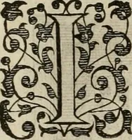An illustration from Princelyck cabinet : verthoonende t'leven afcomste ende afbeeldingen der voornaemste vorste[n], princen, graven en heeren van Europa jegenwoordig regierende : mitsgaders beschrijvinge vanden staet, landen, rijckdommen ende incomsten der selver ... (1625)