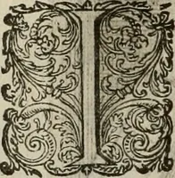 An illustration from Princelyck cabinet : verthoonende t'leven afcomste ende afbeeldingen der voornaemste vorste[n], princen, graven en heeren van Europa jegenwoordig regierende : mitsgaders beschrijvinge vanden staet, landen, rijckdommen ende incomsten der selver ... (1625)