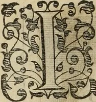 An illustration from Princelyck cabinet : verthoonende t'leven afcomste ende afbeeldingen der voornaemste vorste[n], princen, graven en heeren van Europa jegenwoordig regierende : mitsgaders beschrijvinge vanden staet, landen, rijckdommen ende incomsten der selver ... (1625)