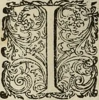 An illustration from Princelyck cabinet : verthoonende t'leven afcomste ende afbeeldingen der voornaemste vorste[n], princen, graven en heeren van Europa jegenwoordig regierende : mitsgaders beschrijvinge vanden staet, landen, rijckdommen ende incomsten der selver ... (1625)