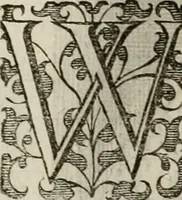 An illustration from Princelyck cabinet : verthoonende t'leven afcomste ende afbeeldingen der voornaemste vorste[n], princen, graven en heeren van Europa jegenwoordig regierende : mitsgaders beschrijvinge vanden staet, landen, rijckdommen ende incomsten der selver ... (1625)