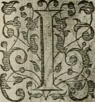 An illustration from Princelyck cabinet : verthoonende t'leven afcomste ende afbeeldingen der voornaemste vorste[n], princen, graven en heeren van Europa jegenwoordig regierende : mitsgaders beschrijvinge vanden staet, landen, rijckdommen ende incomsten der selver ... (1625)