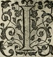 An illustration from Princelyck cabinet : verthoonende t'leven afcomste ende afbeeldingen der voornaemste vorste[n], princen, graven en heeren van Europa jegenwoordig regierende : mitsgaders beschrijvinge vanden staet, landen, rijckdommen ende incomsten der selver ... (1625)