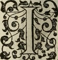 An illustration from Princelyck cabinet : verthoonende t'leven afcomste ende afbeeldingen der voornaemste vorste[n], princen, graven en heeren van Europa jegenwoordig regierende : mitsgaders beschrijvinge vanden staet, landen, rijckdommen ende incomsten der selver ... (1625)