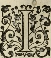 Picture 50 of 91 from Princelyck cabinet : verthoonende t'leven afcomste ende afbeeldingen der voornaemste vorste[n], princen, graven en heeren van Europa jegenwoordig regierende : mitsgaders beschrijvinge vanden staet, landen, rijckdommen ende incomsten der selver ... (1625), leaf 71