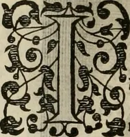 An illustration from Princelyck cabinet : verthoonende t'leven afcomste ende afbeeldingen der voornaemste vorste[n], princen, graven en heeren van Europa jegenwoordig regierende : mitsgaders beschrijvinge vanden staet, landen, rijckdommen ende incomsten der selver ... (1625)