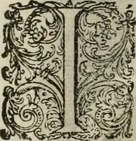 An illustration from Princelyck cabinet : verthoonende t'leven afcomste ende afbeeldingen der voornaemste vorste[n], princen, graven en heeren van Europa jegenwoordig regierende : mitsgaders beschrijvinge vanden staet, landen, rijckdommen ende incomsten der selver ... (1625)