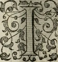 An illustration from Princelyck cabinet : verthoonende t'leven afcomste ende afbeeldingen der voornaemste vorste[n], princen, graven en heeren van Europa jegenwoordig regierende : mitsgaders beschrijvinge vanden staet, landen, rijckdommen ende incomsten der selver ... (1625)