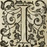An illustration from Princelyck cabinet : verthoonende t'leven afcomste ende afbeeldingen der voornaemste vorste[n], princen, graven en heeren van Europa jegenwoordig regierende : mitsgaders beschrijvinge vanden staet, landen, rijckdommen ende incomsten der selver ... (1625)
