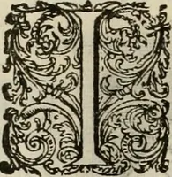 An illustration from Princelyck cabinet : verthoonende t'leven afcomste ende afbeeldingen der voornaemste vorste[n], princen, graven en heeren van Europa jegenwoordig regierende : mitsgaders beschrijvinge vanden staet, landen, rijckdommen ende incomsten der selver ... (1625)