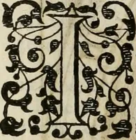 An illustration from Princelyck cabinet : verthoonende t'leven afcomste ende afbeeldingen der voornaemste vorste[n], princen, graven en heeren van Europa jegenwoordig regierende : mitsgaders beschrijvinge vanden staet, landen, rijckdommen ende incomsten der selver ... (1625)