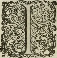 An illustration from Princelyck cabinet : verthoonende t'leven afcomste ende afbeeldingen der voornaemste vorste[n], princen, graven en heeren van Europa jegenwoordig regierende : mitsgaders beschrijvinge vanden staet, landen, rijckdommen ende incomsten der selver ... (1625)