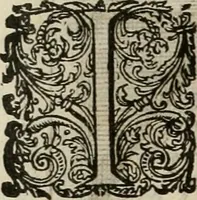 An illustration from Princelyck cabinet : verthoonende t'leven afcomste ende afbeeldingen der voornaemste vorste[n], princen, graven en heeren van Europa jegenwoordig regierende : mitsgaders beschrijvinge vanden staet, landen, rijckdommen ende incomsten der selver ... (1625)