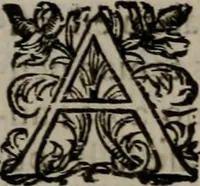 An illustration from Principe perfecto y ministros aiustados : documentos politicos, y morales en emblemas (1662)