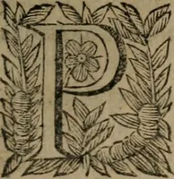An illustration from Principe perfecto y ministros aiustados : documentos politicos, y morales en emblemas (1662)