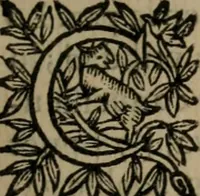 An illustration from Principe perfecto y ministros aiustados : documentos politicos, y morales en emblemas (1662)