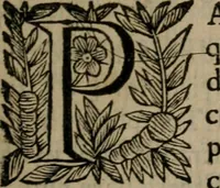An illustration from Principe perfecto y ministros aiustados : documentos politicos, y morales en emblemas (1662)